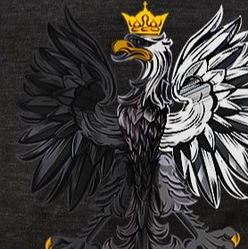 Orzeł – koszulka grafit Orzeł – koszulka grafit